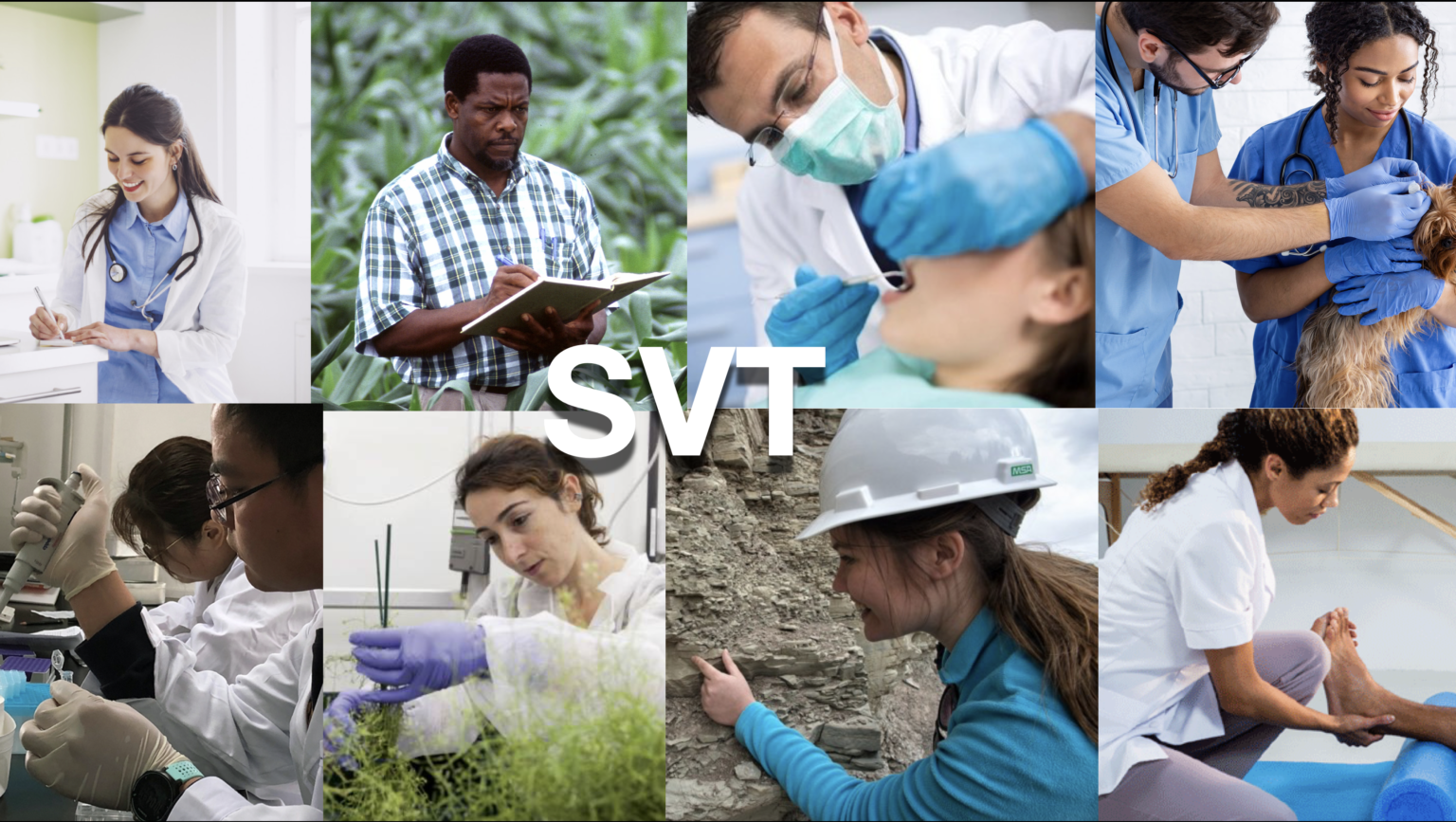 Les métiers en relation avec les SVT Vieterre — free download