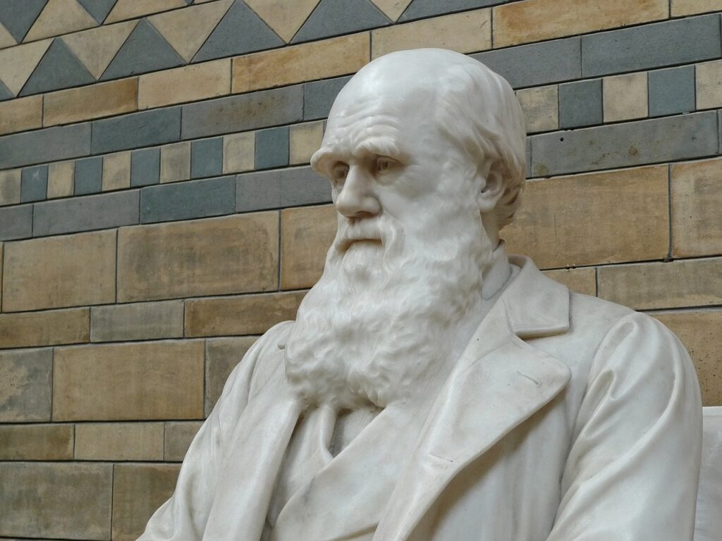 darwin, natural history, museum, evolution, natural, selection, charles, creation, beard, gray history, gray natural, darwin, darwin, darwin, darwin, darwin, evolution