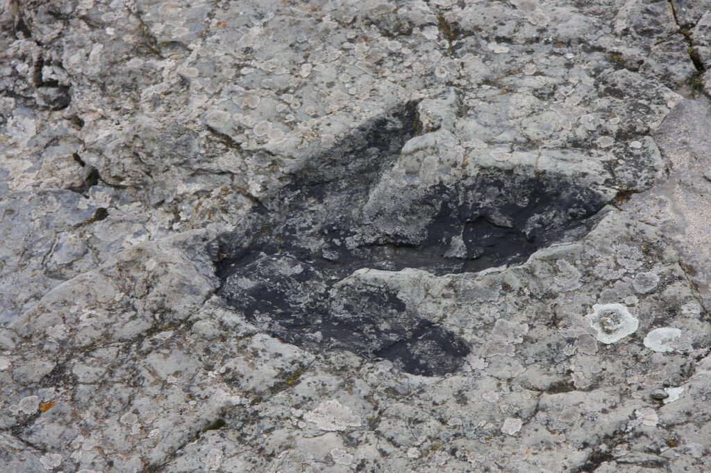 ignite, fingerprint, dinosaur, soria, fossil, spain, dinosaur, dinosaur, fossil, fossil, fossil, fossil, fossil